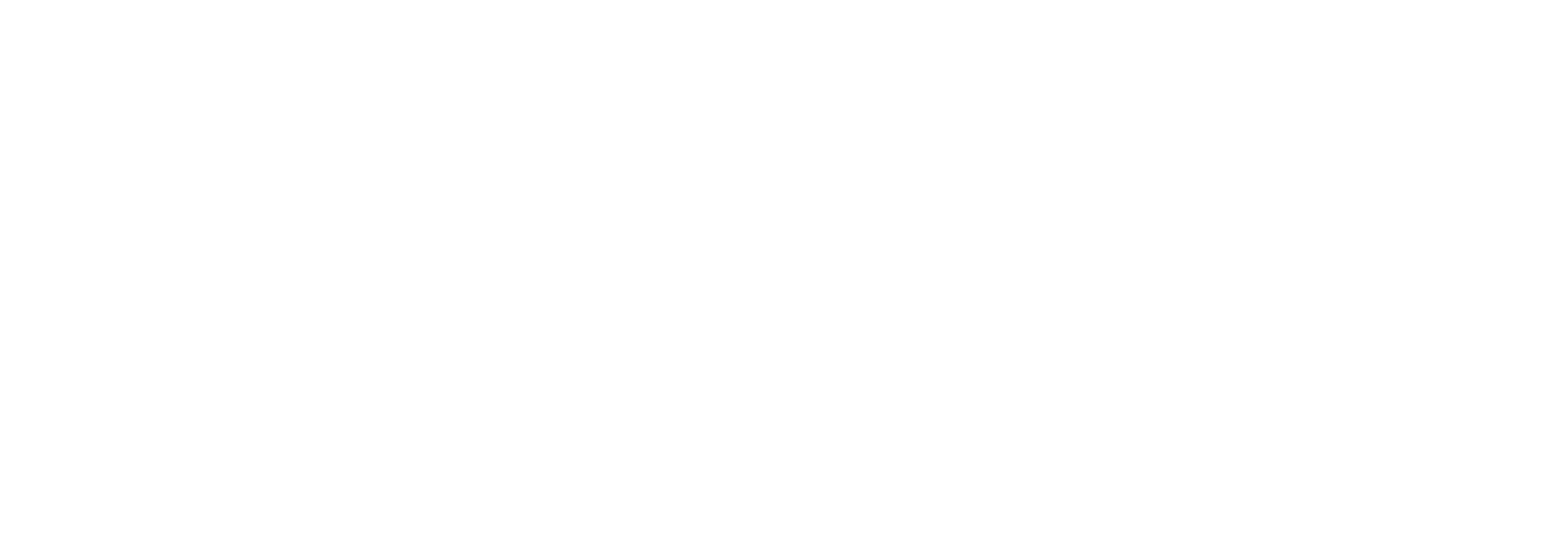 Jana Beauty Zurich - White Logo